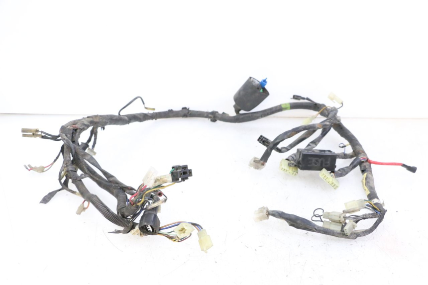photo de WIRE HARNESS YAMAHA XJN DIVERSION 600 (2000 - 2003) - Main view
