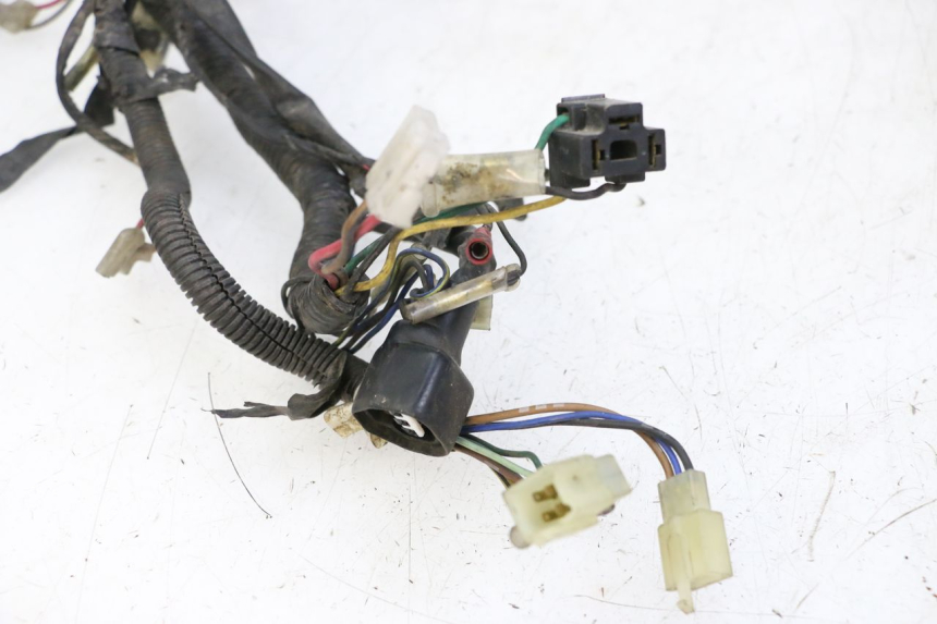 photo de WIRE HARNESS YAMAHA XJN DIVERSION 600 (2000 - 2003) - Additional view of the item