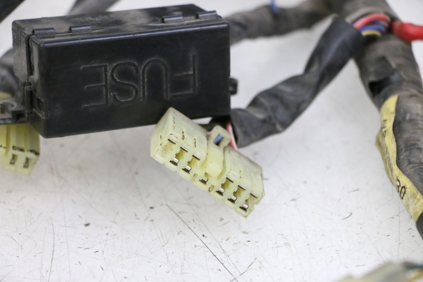 photo de WIRE HARNESS YAMAHA XJN DIVERSION 600 (2000 - 2003) - Component zoom