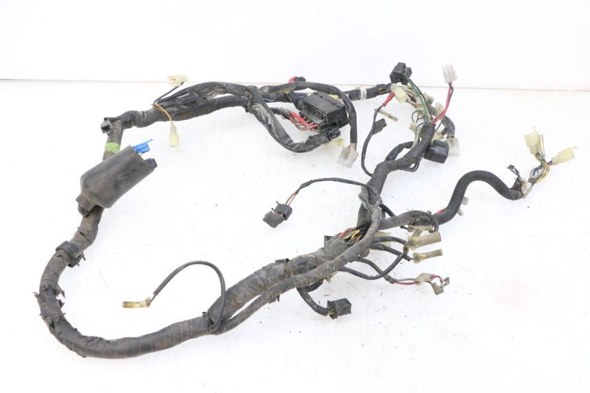 photo de WIRE HARNESS YAMAHA XJN DIVERSION 600 (2000 - 2003) - Technical close-up