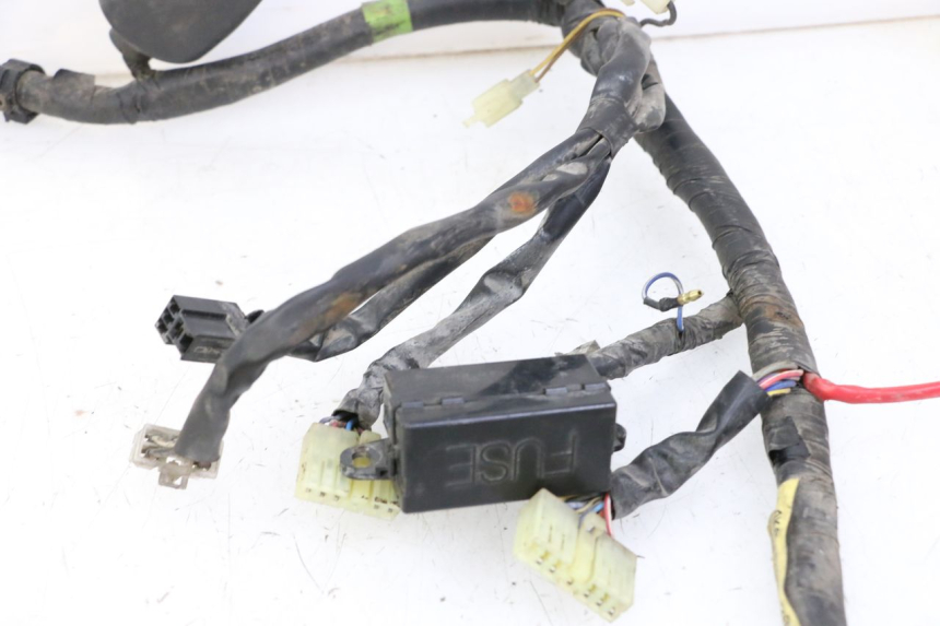 photo de WIRE HARNESS YAMAHA XJN DIVERSION 600 (2000 - 2003) - Surface and material condition
