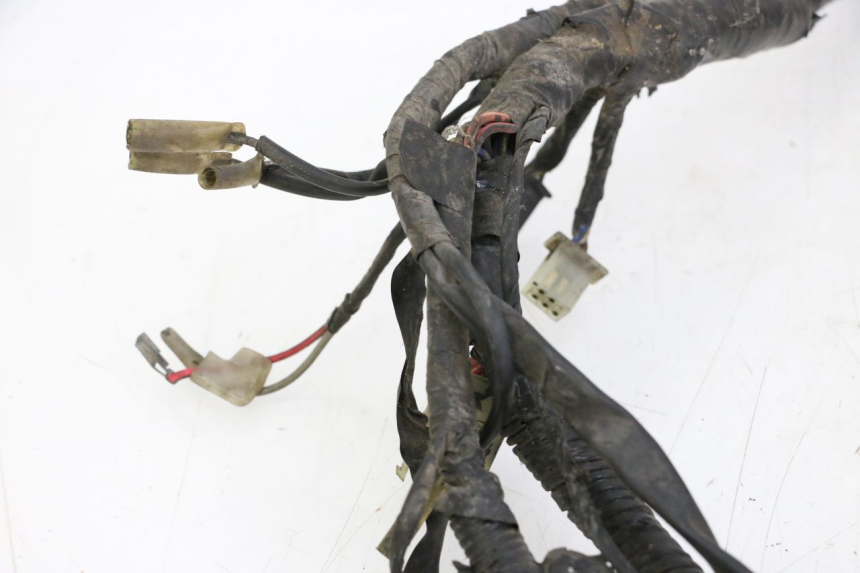 photo de WIRE HARNESS YAMAHA XJN DIVERSION 600 (2000 - 2003) - Markings and original references