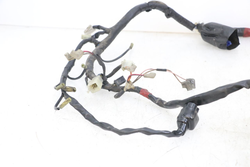 photo de WIRE HARNESS YAMAHA XJS DIVERSION 600 (1997 - 1999) - Technical close-up