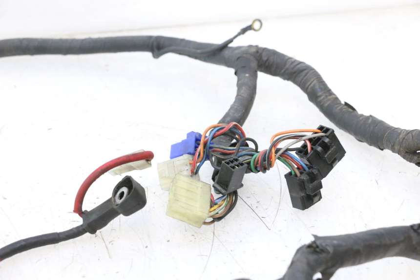 photo de WIRE HARNESS YAMAHA XV VIRAGO 535 (1988 - 2004) - Detailed visual inspection