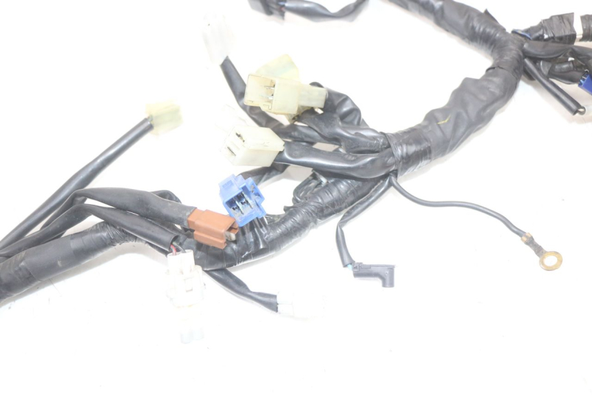 photo de WIRE HARNESS YAMAHA FZ1 FAZER 1000 (2007 - 2009) - Alternative perspective
