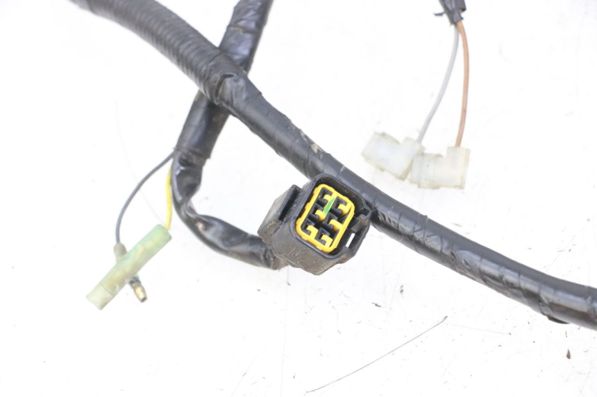 photo de WIRE HARNESS YAMAHA NEO'S NEOS 2T EASY 50 (2013 - 2016) - Markings and original references