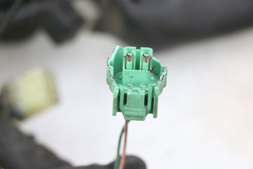 photo de WIRE HARNESS YAMAHA XJ6 600 (2008 - 2016) - Alternative perspective