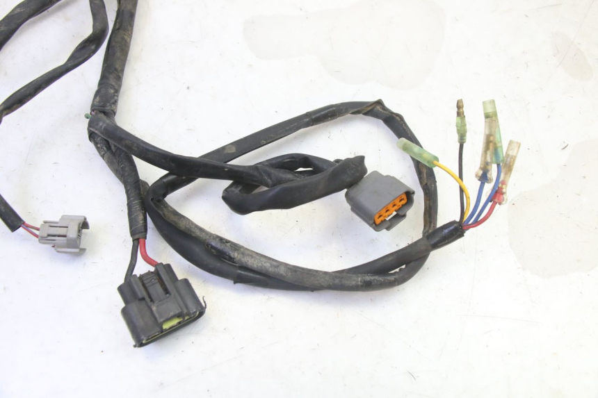 photo de WIRE HARNESS YAMAHA YFM GRIZZLY 550 (2008 - 2015) - Component detail
