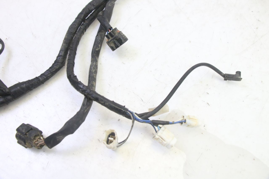 photo de WIRE HARNESS YAMAHA YFM GRIZZLY 550 (2008 - 2015) - Alternative perspective