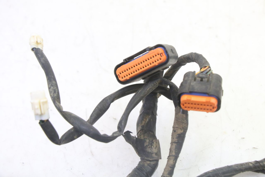 photo de WIRE HARNESS YAMAHA YFM GRIZZLY 550 (2008 - 2015) - Surface and material condition
