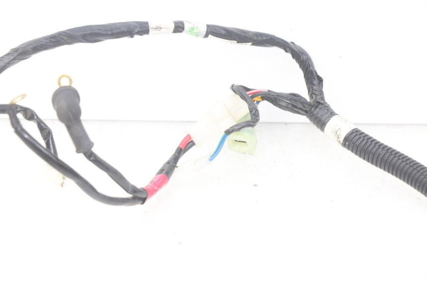 photo de WIRING HARNESS YAMAHA YFM R RAPTOR 90 (2017 - 2023) - Product overview
