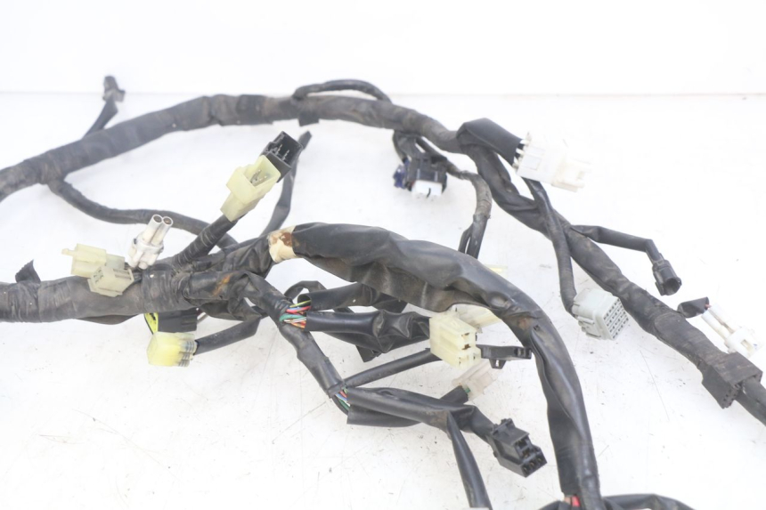 photo de WIRING HARNESS YAMAHA YP MAJESTY 400 (2004 - 2008) - Component detail