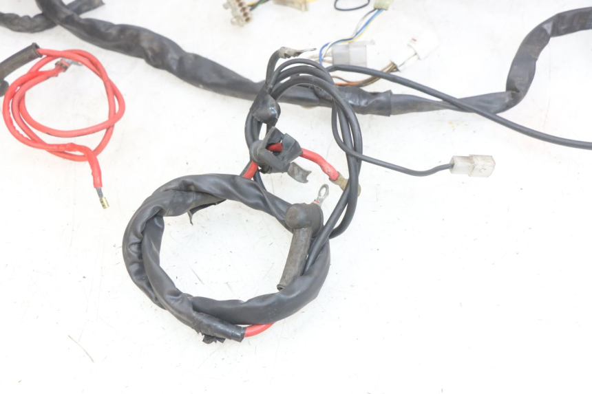 photo de WIRING HARNESS YAMAHA YP MAJESTY 125 (1998 - 2001) - Technical close-up