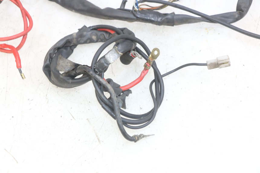 photo de WIRING HARNESS YAMAHA YP MAJESTY 125 (1998 - 2001) - Product overview