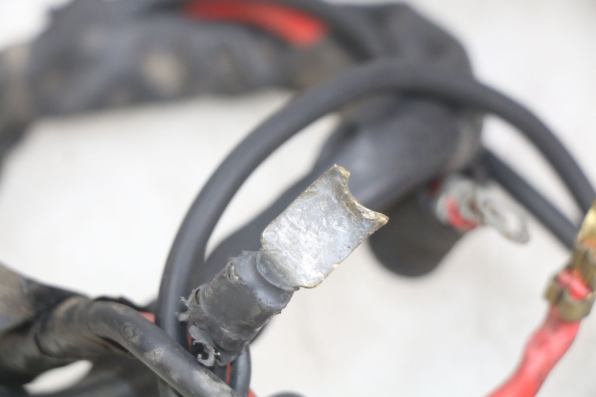 photo de WIRING HARNESS YAMAHA YP MAJESTY 125 (1998 - 2001) - Fixing points details