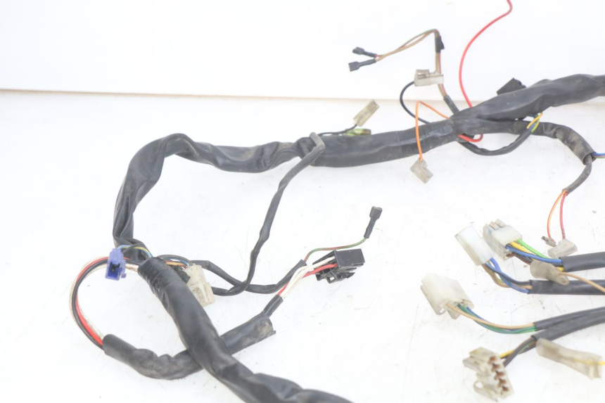 photo de WIRING HARNESS YAMAHA YP MAJESTY 125 (1998 - 2001) - Checked used part