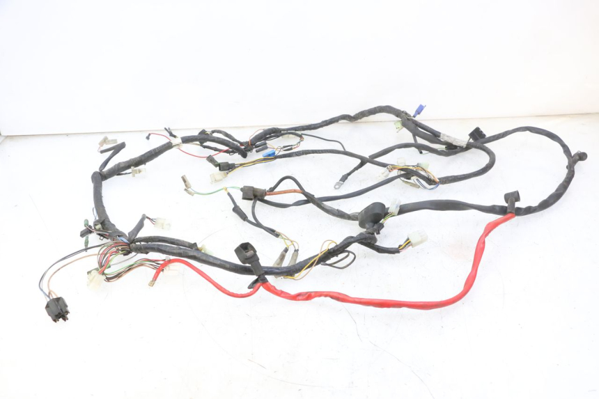 photo de WIRING HARNESS YAMAHA YP MAJESTY 125 (2007 - 2010) - Main view