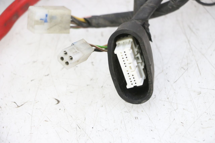 photo de WIRING HARNESS YAMAHA YP MAJESTY 125 (2007 - 2010) - Alternative perspective