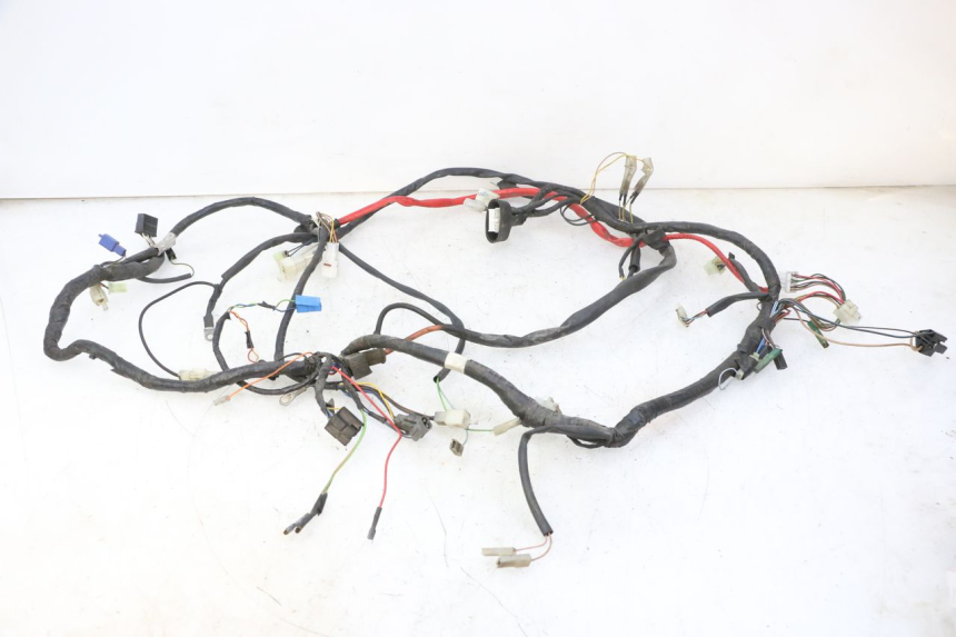 photo de WIRING HARNESS YAMAHA YP MAJESTY 125 (2007 - 2010) - Product overview
