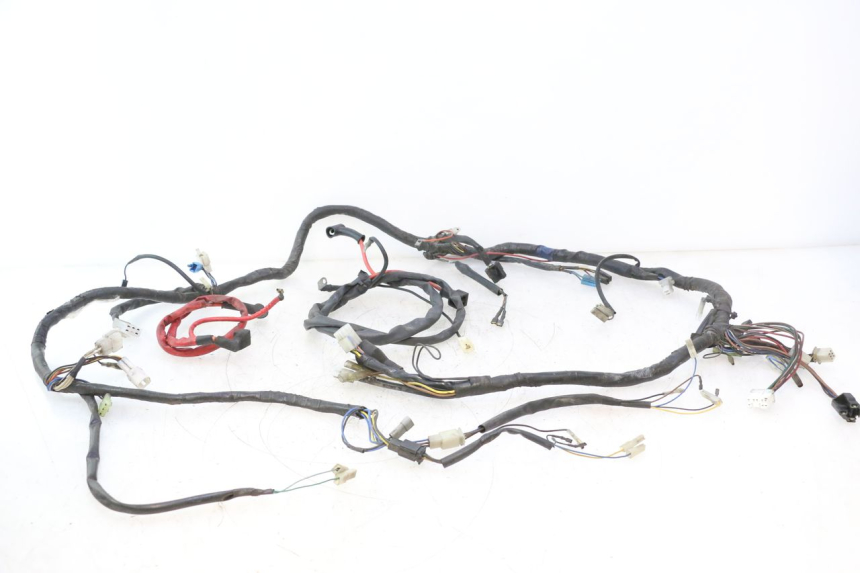photo de WIRING HARNESS YAMAHA YP MAJESTY 125 (2007 - 2010) - Main view