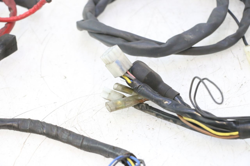 photo de WIRING HARNESS YAMAHA YP MAJESTY 125 (2007 - 2010) - High-resolution close-up
