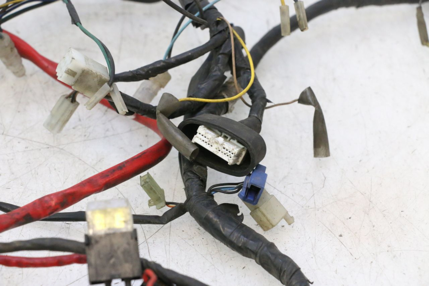photo de WIRING HARNESS YAMAHA YP MAJESTY 125 (2002 - 2006) - Component detail