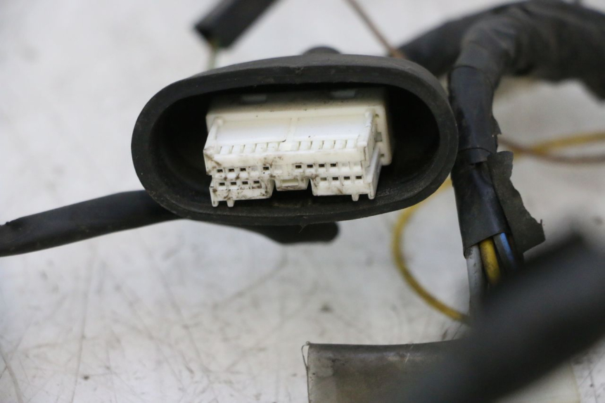 photo de WIRING HARNESS YAMAHA YP MAJESTY 125 (2002 - 2006) - High-resolution close-up