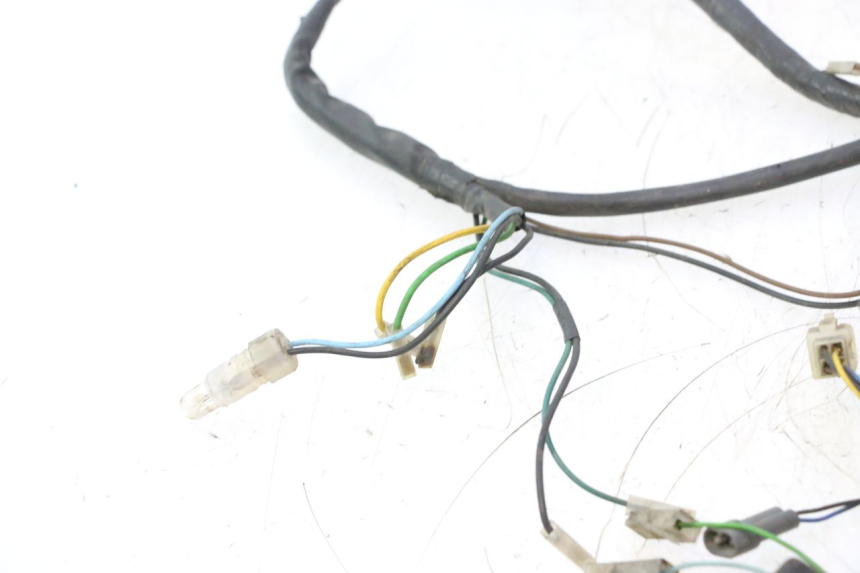 photo de WIRING HARNESS YAMAHA YP MAJESTY 125 (2002 - 2006) - Main view