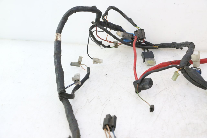photo de WIRING HARNESS YAMAHA YP MAJESTY 125 (2002 - 2006) - Alternative perspective