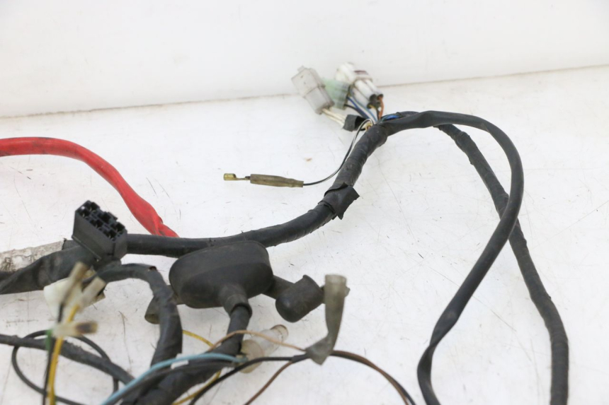 photo de WIRING HARNESS YAMAHA YP MAJESTY 125 (2002 - 2006) - Surface and material condition