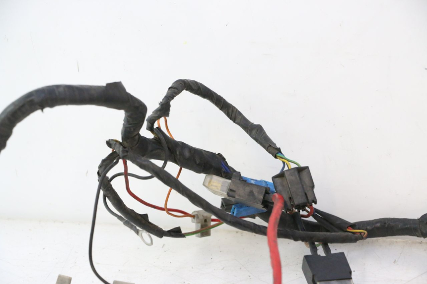 photo de WIRING HARNESS YAMAHA YP MAJESTY 125 (2002 - 2006) - Checked used part