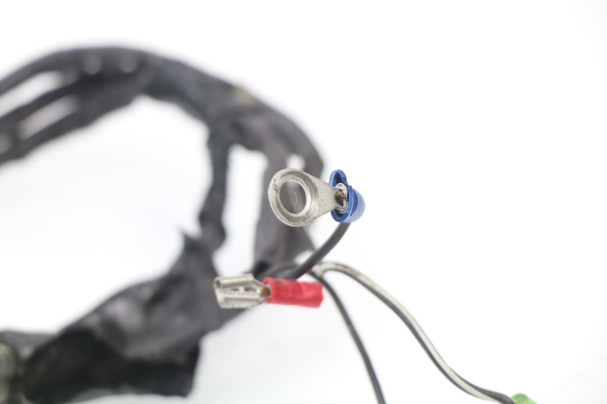 photo de WIRE HARNESS YAMAHA YZ 125 (1998 - 2005) - Technical close-up