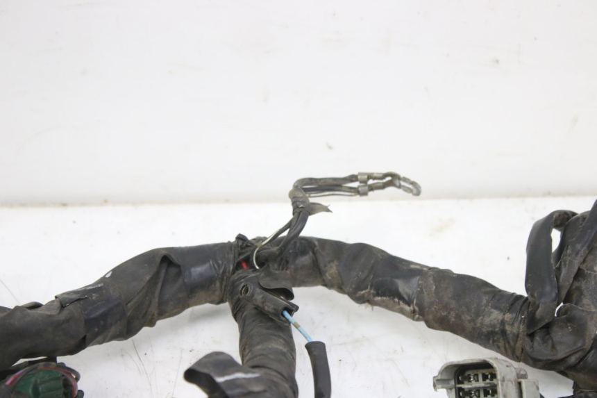 photo de WIRING HARNESS YAMAHA YZF R1 1000 (2007 - 2008) - Distinctive features