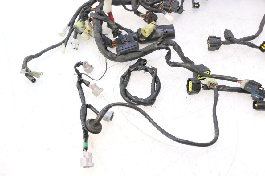 photo de WIRE HARNESS YAMAHA YZF R6 600 (2008 - 2009) - Component detail