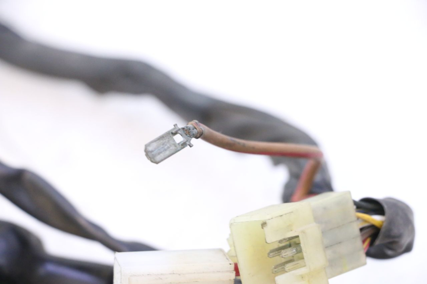 photo de WIRE HARNESS YAMAHA YZF R6 600 (2008 - 2009) - High-resolution close-up