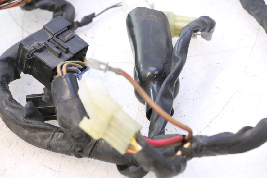 photo de WIRE HARNESS YAMAHA YZF R6 600 (2008 - 2009) - Detailed visual inspection