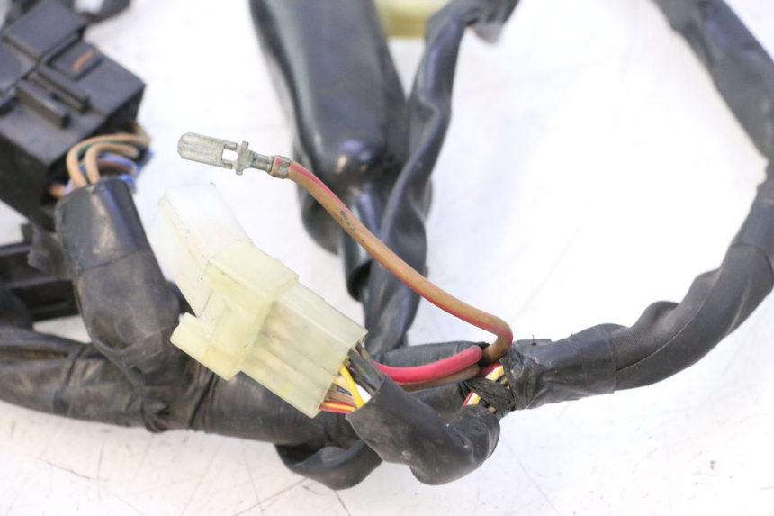 photo de WIRE HARNESS YAMAHA YZF R6 600 (2008 - 2009) - Focus on structure