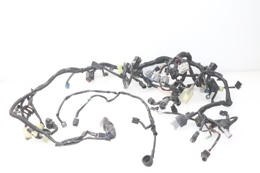 photo de WIRE HARNESS KAWASAKI Z Z900 900 (2017 - 2019) - Main view