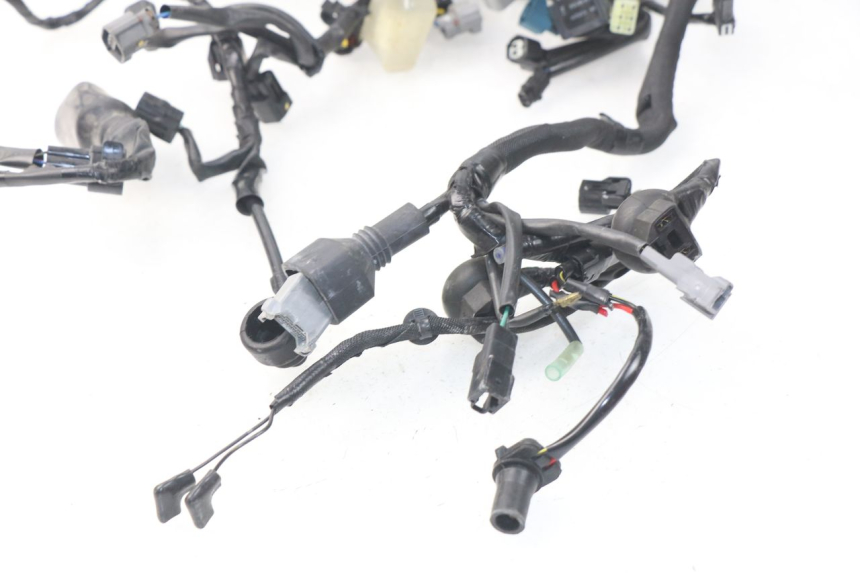 photo de WIRE HARNESS KAWASAKI Z Z900 900 (2017 - 2019) - Focus on structure