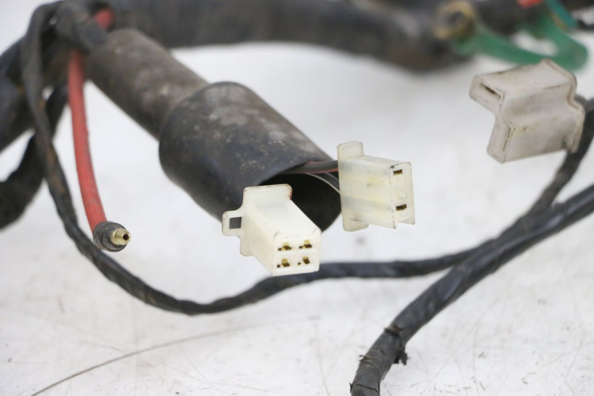 photo de WIRE HARNESS KYMCO ZING 125 (1997 - 2003) - Checked used part