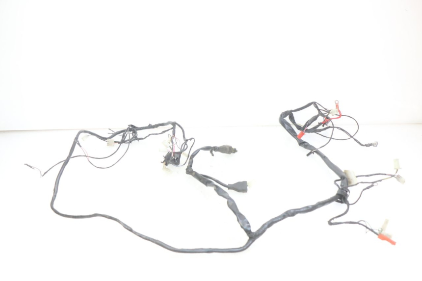 photo de WIRING HARNESS PIAGGIO ZIP 2T 50 (2009 - 2019) - Zoom on usage condition