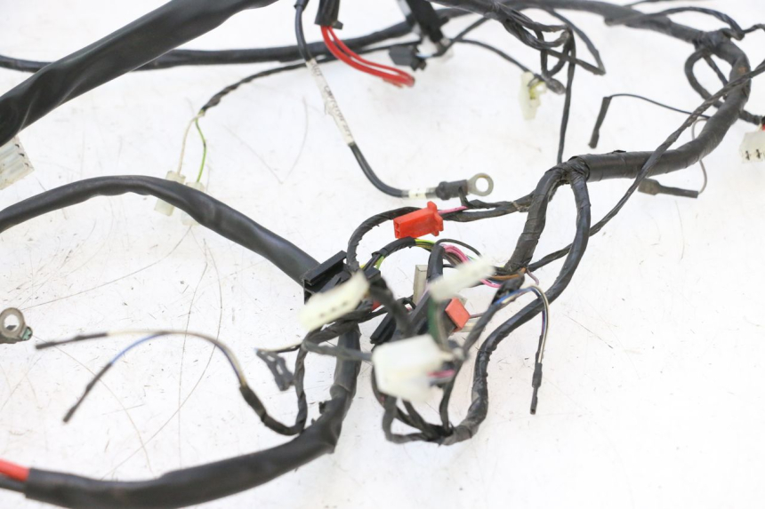 photo de WIRING HARNESS PIAGGIO ZIP 2T 50 (2009 - 2019) - Technical close-up