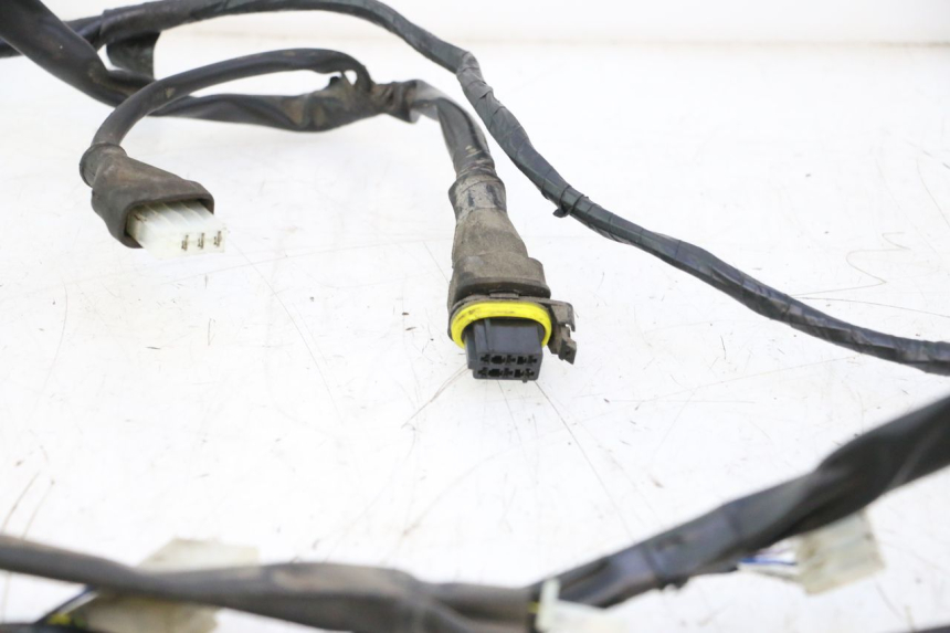 photo de WIRING HARNESS PIAGGIO ZIP 2T 50 (2009 - 2019) - Product overview