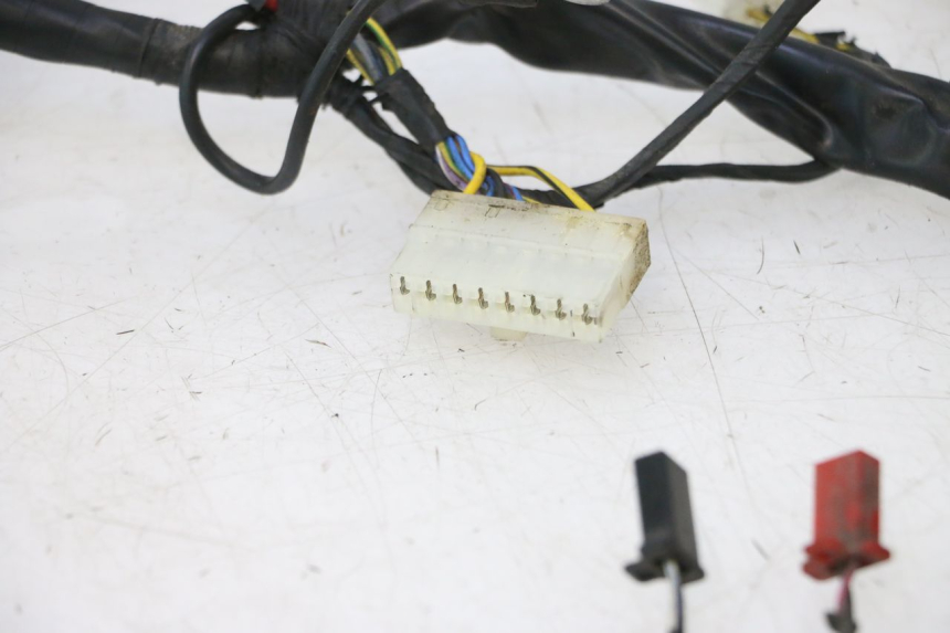 photo de WIRING HARNESS PIAGGIO ZIP 2T 50 (2009 - 2019) - Distinctive features