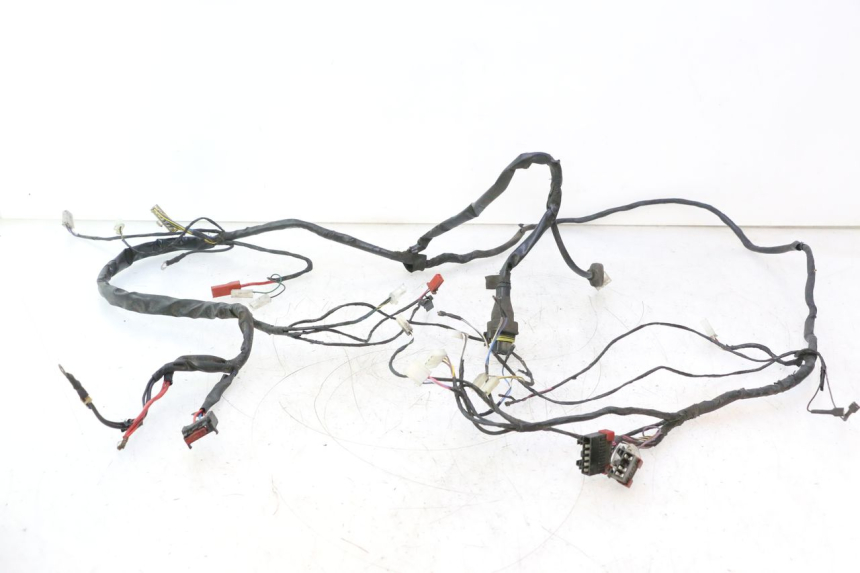photo de WIRING HARNESS PIAGGIO ZIP 2T 50 (2009 - 2019) - Main view