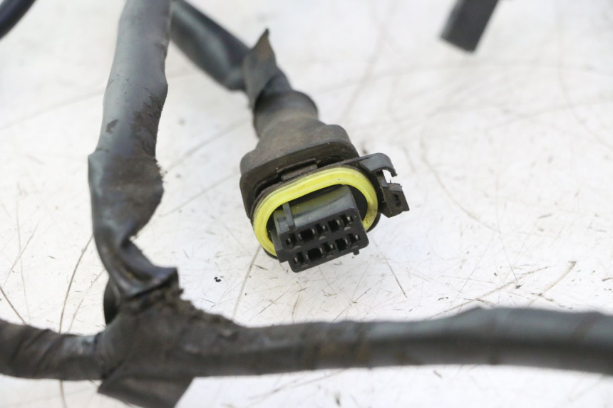 photo de WIRING HARNESS PIAGGIO ZIP 2T 50 (2009 - 2019) - Distinctive features