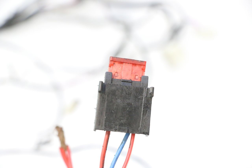 photo de WIRING HARNESS PIAGGIO ZIP 2T 50 (2009 - 2019) - Supplementary product photo