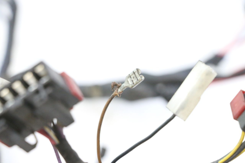 photo de WIRING HARNESS PIAGGIO ZIP 2T 50 (2009 - 2019) - Detailed visual inspection
