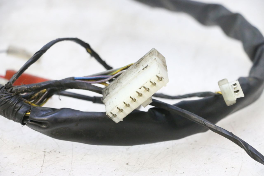photo de WIRING HARNESS PIAGGIO ZIP 2T 50 (2009 - 2019) - Markings and original references