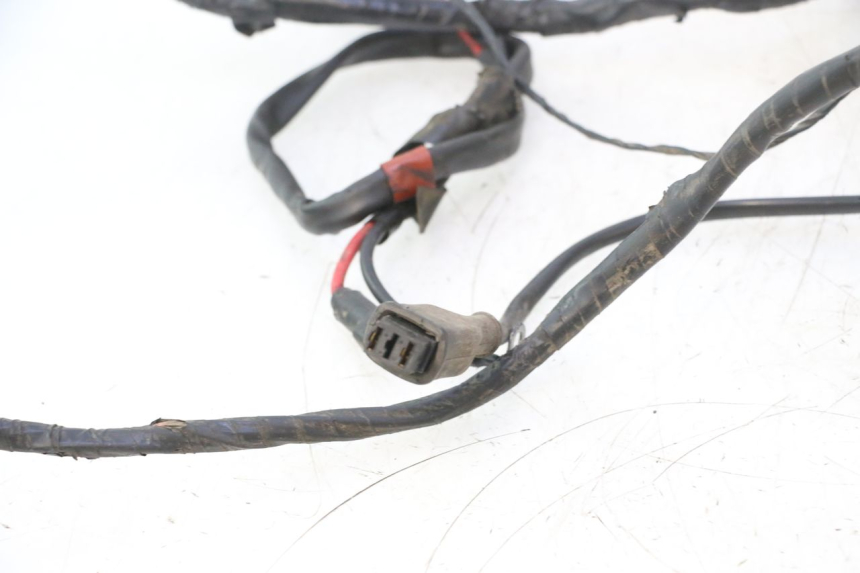 photo de WIRE HARNESS PIAGGIO ZIP 4T 50 (2006 - 2017) - Zoom on usage condition